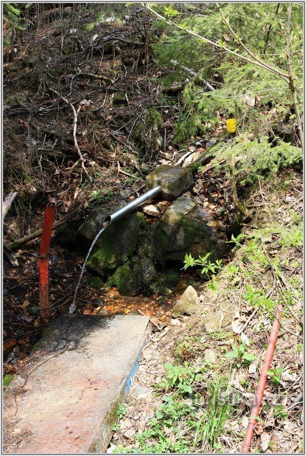 Well near Budča