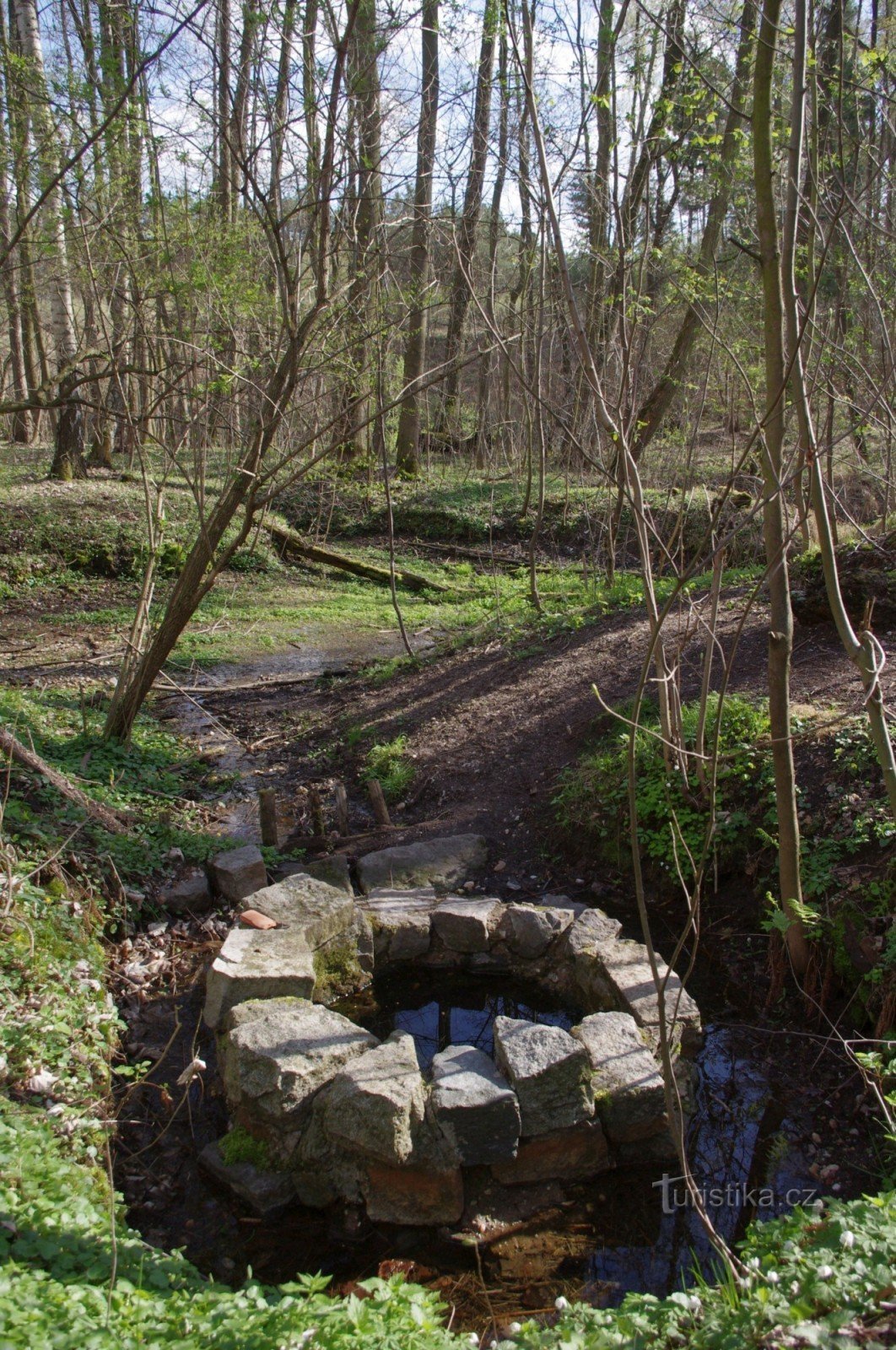 Studánka u Býchor