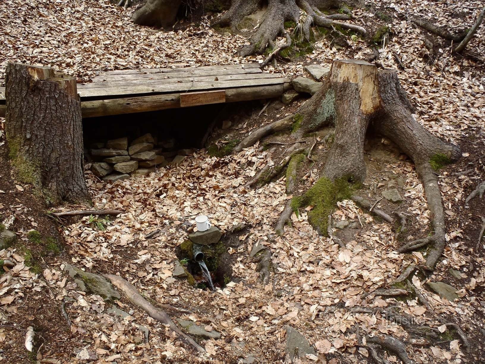 Studánka u dudek - 21.4.2012