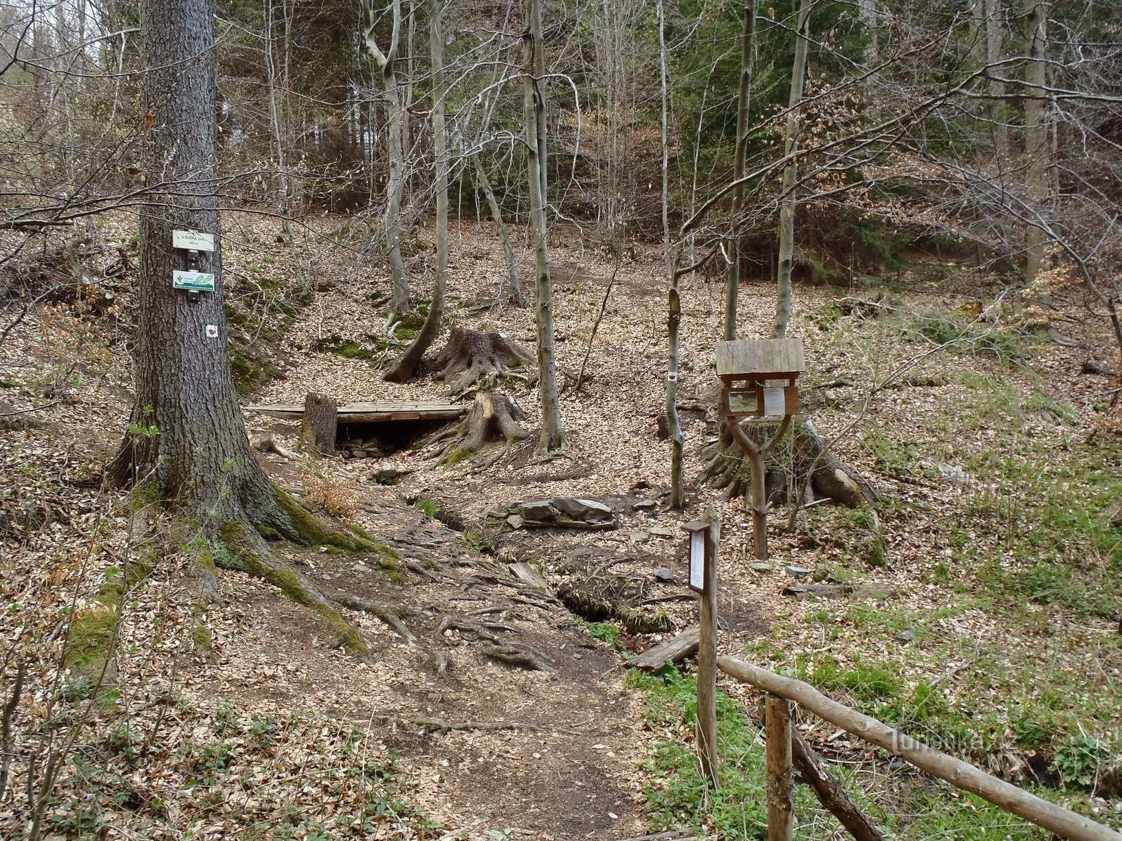 Studánka u dudek - 21.4.2012