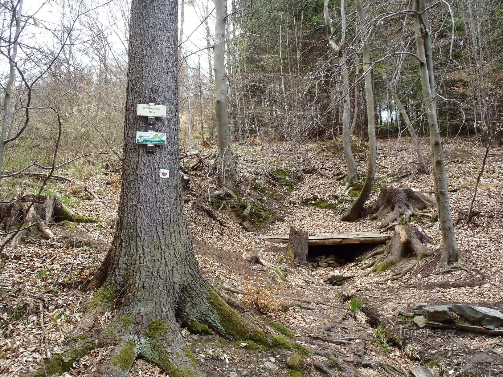 Studánka u dudek - 21.4.2012