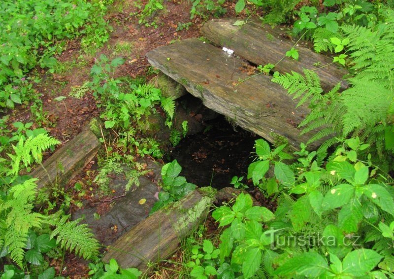 Ein Brunnen an den Wurzeln einer Eiche