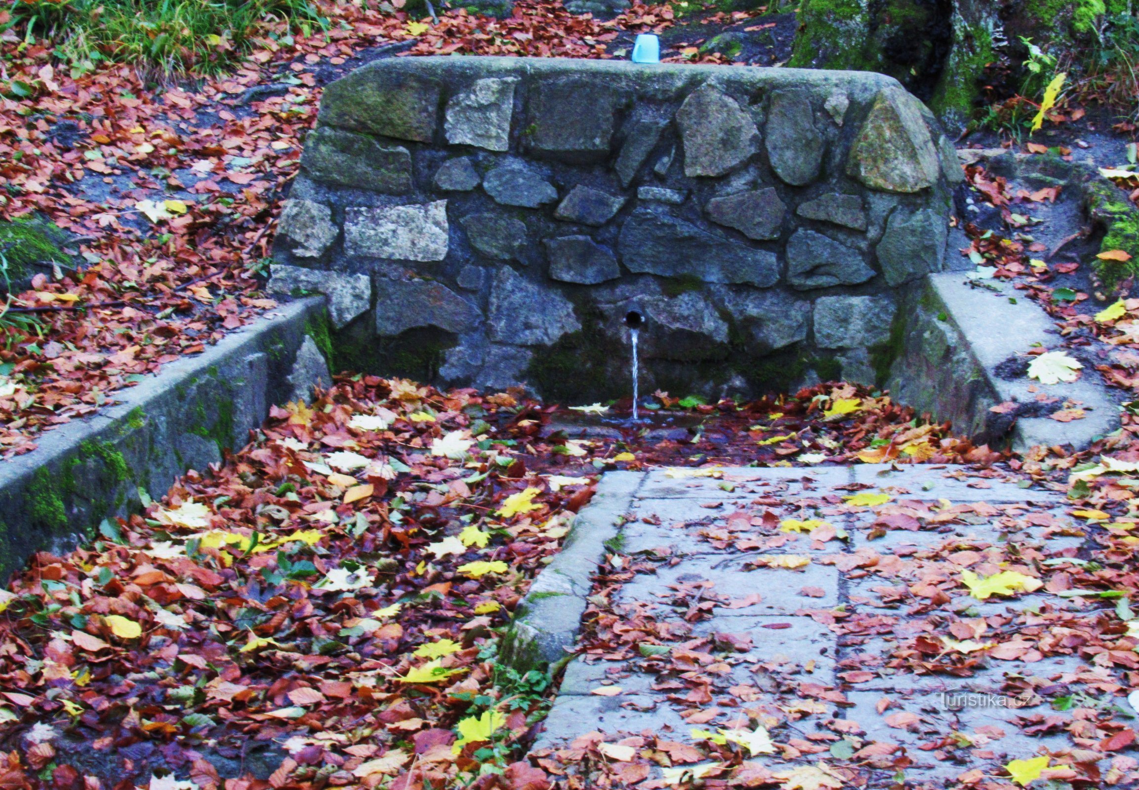 Well U Mísy in de bossen van de Chřiby-hooglanden