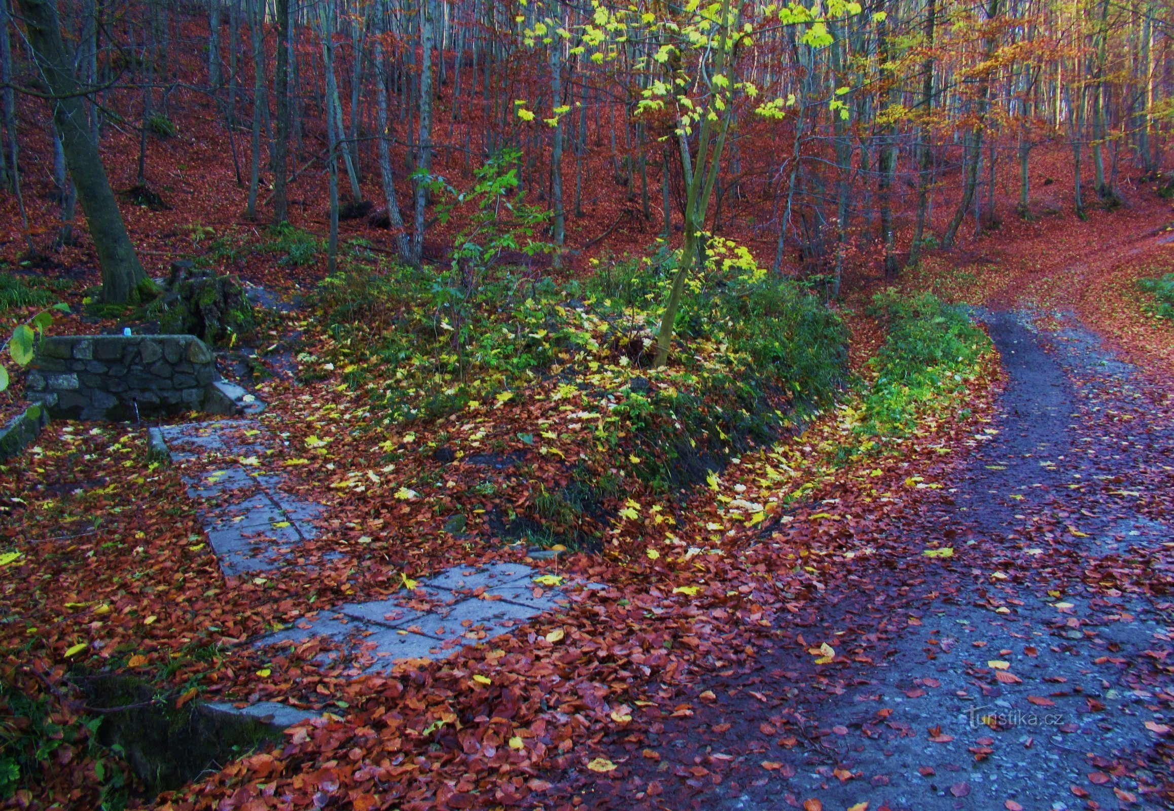 Well U Mísy in de bossen van de Chřiby-hooglanden