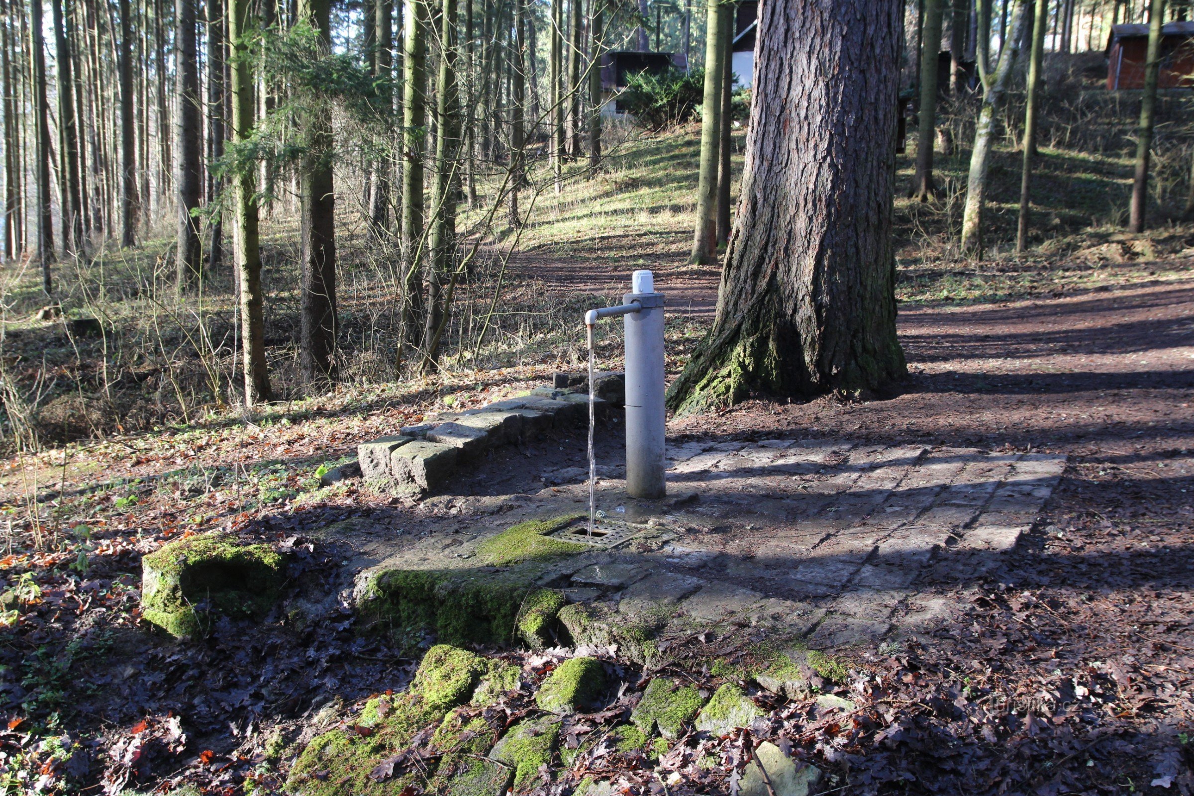 The well near the larch