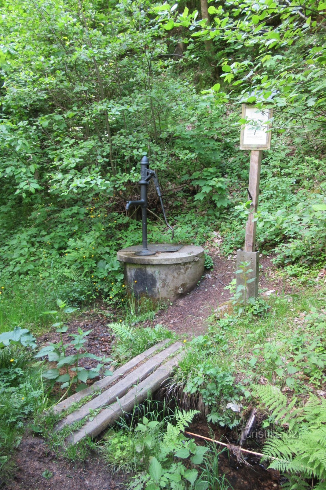 The well at Potomských