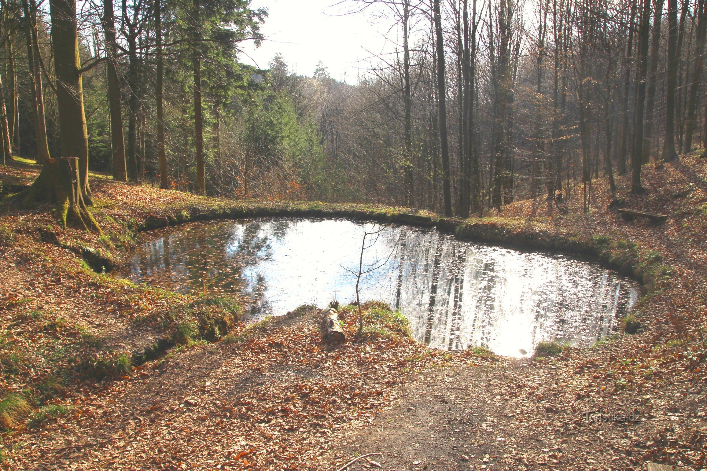 Der Brunnen bei Grouse