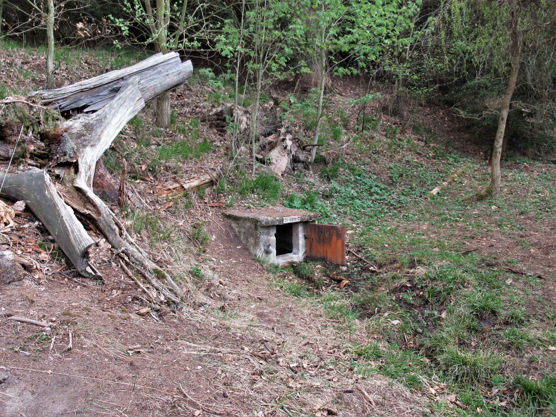 Studánka w marcu 2020