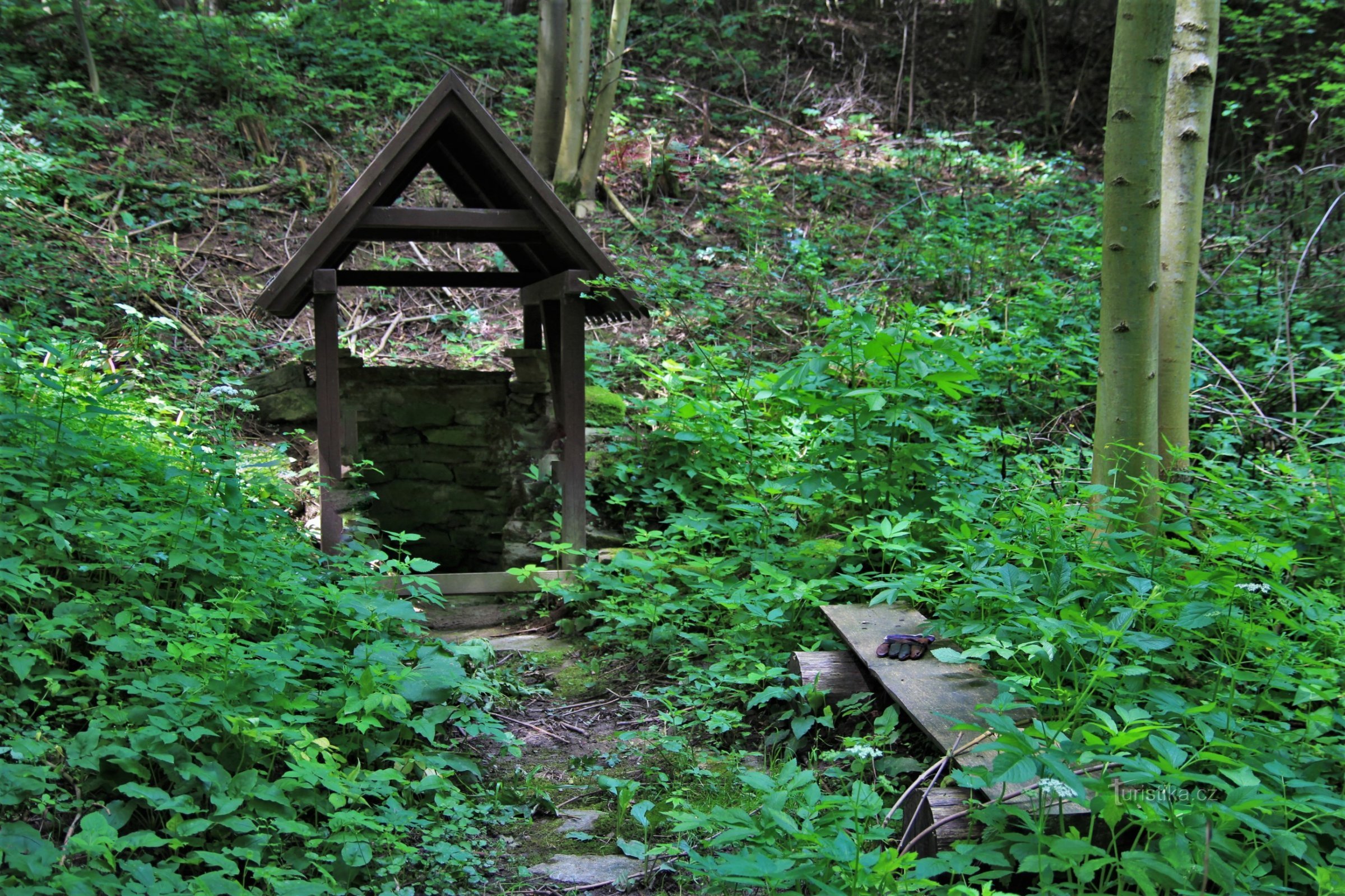 Nou in het bos