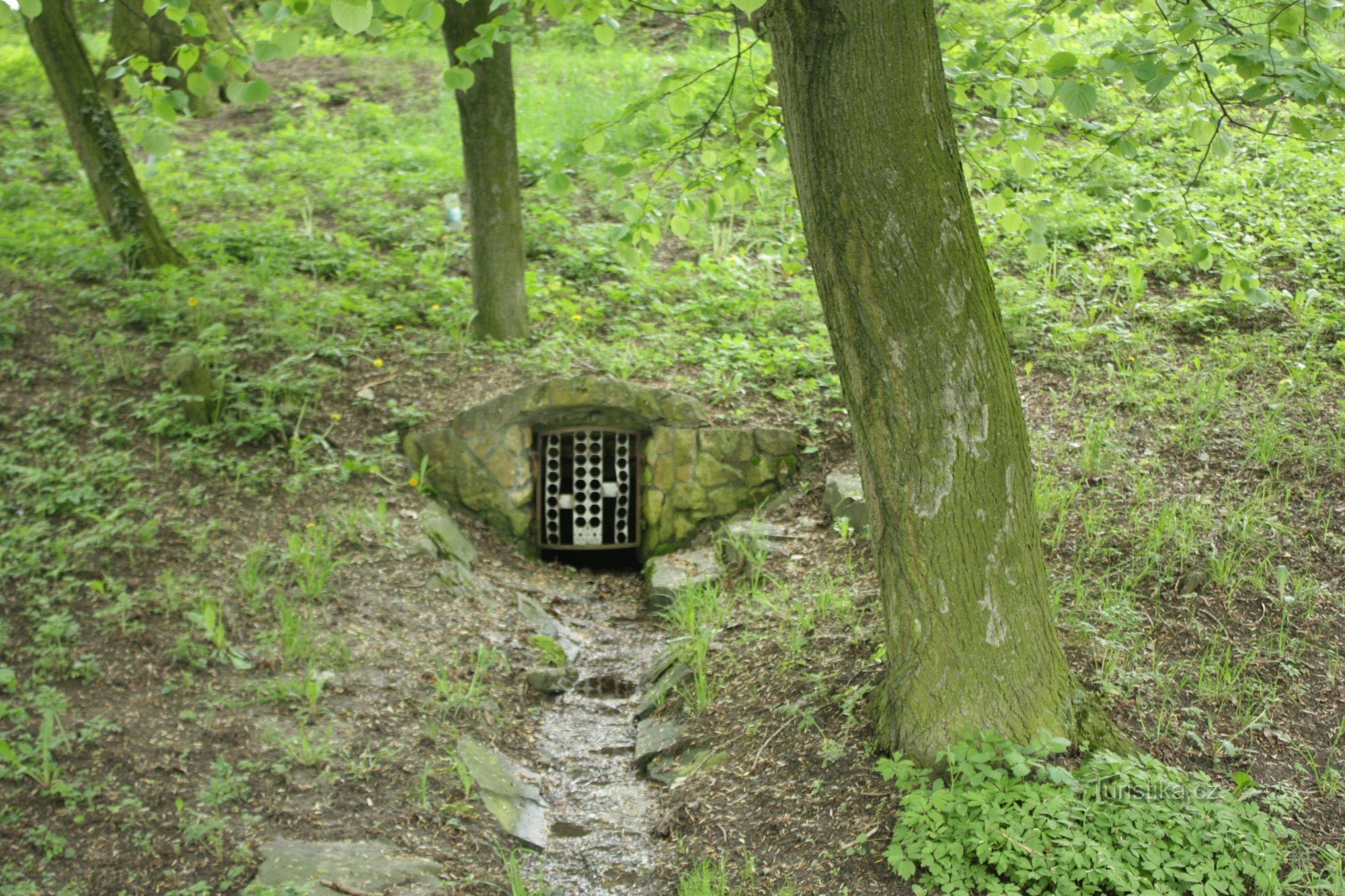 Bron in een bos in het dorp Želeč na Hané