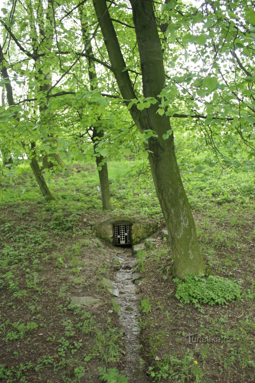 Well in a grove in the village of Želeč na Hané