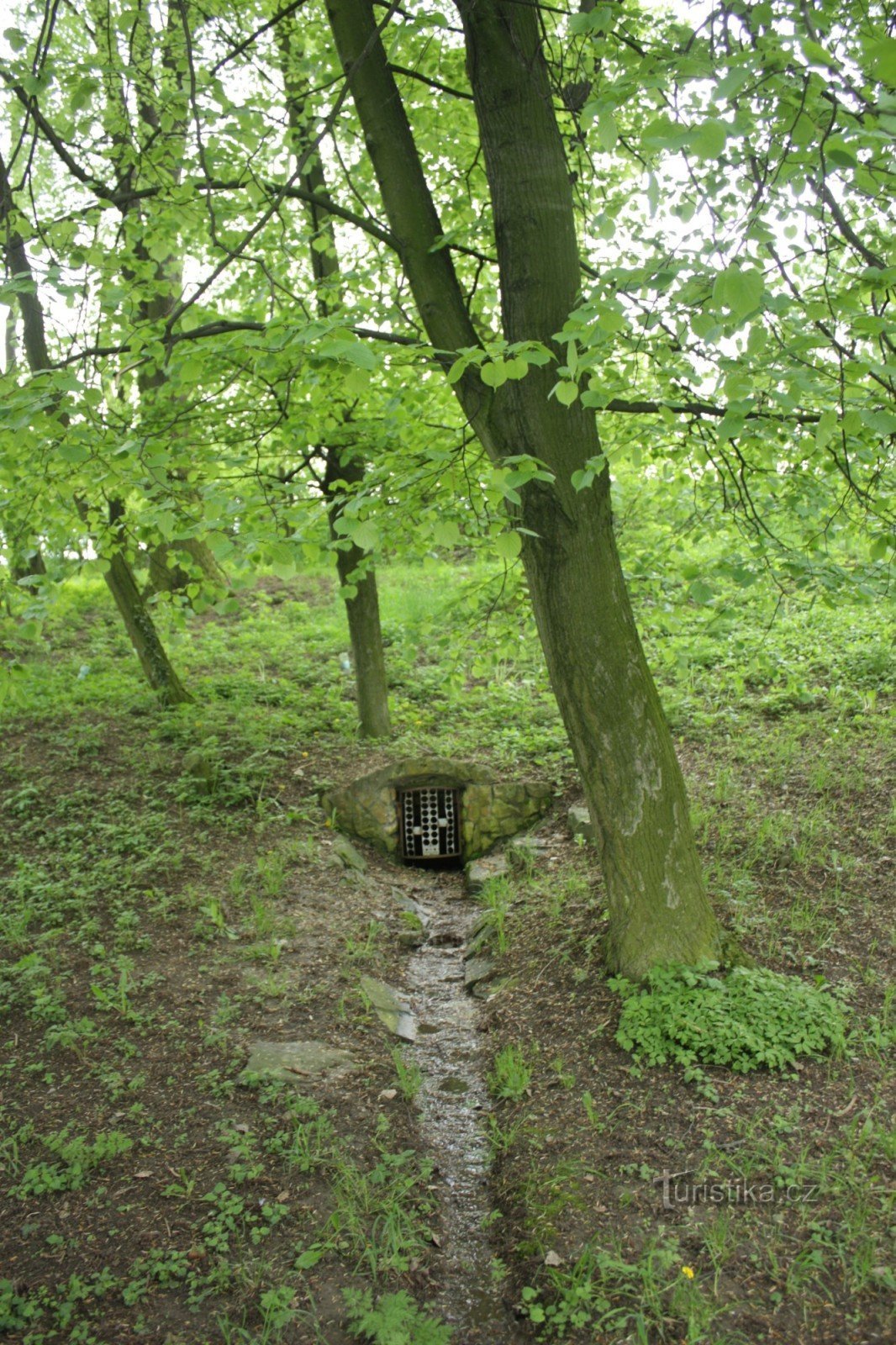 Bem em um bosque na aldeia de Želeč na Hané