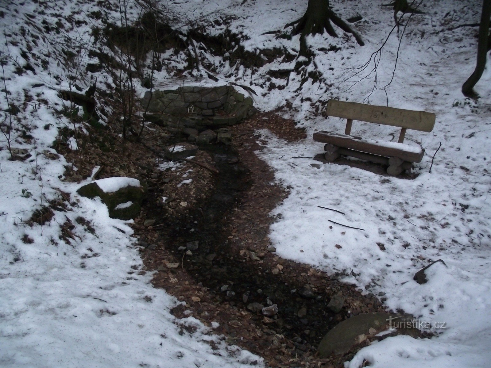 studánka v městském lese