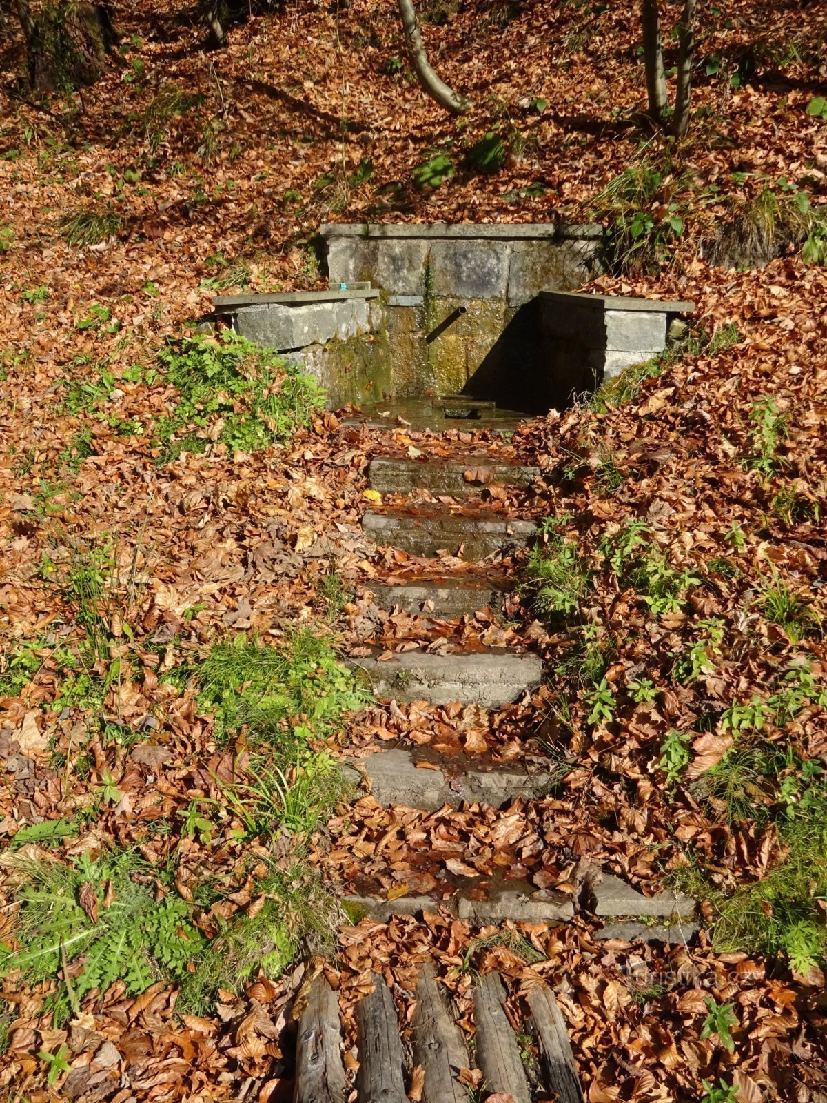 Nun, Mädchen in Herbstkleidung