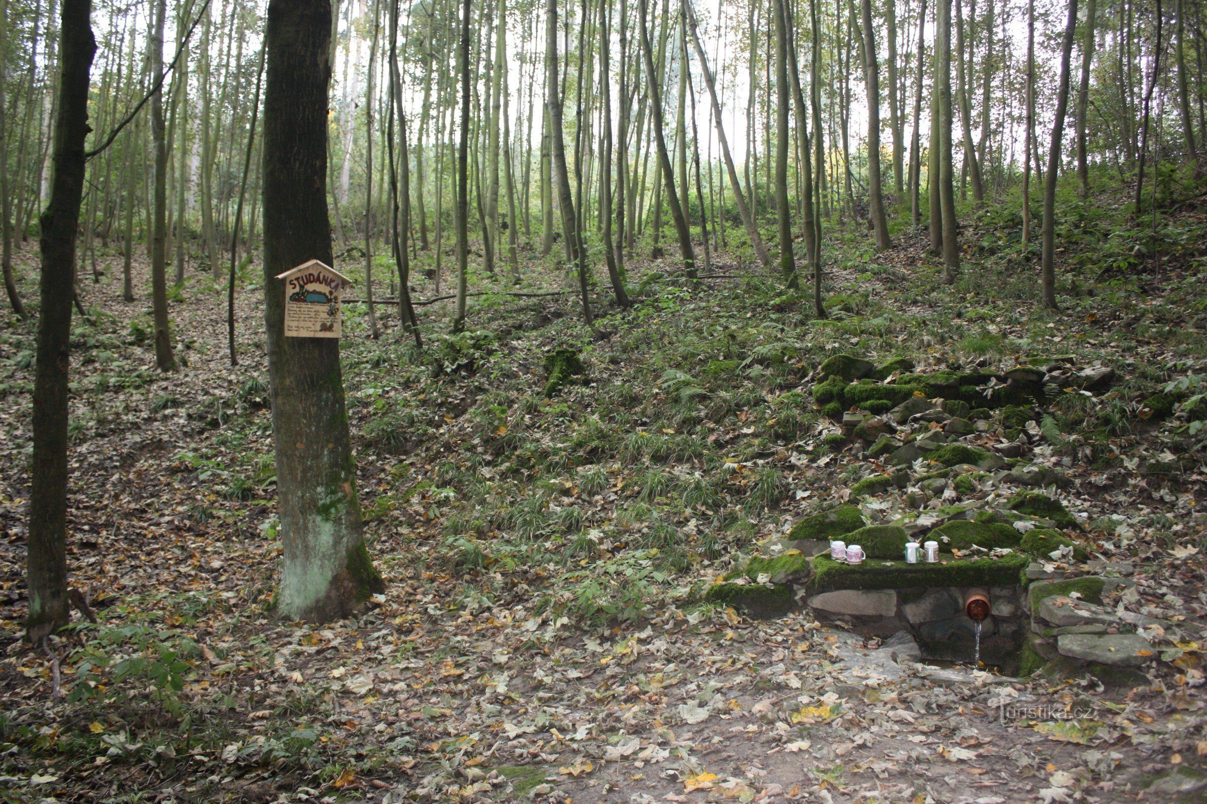 Vel i naturreservatet Blátka