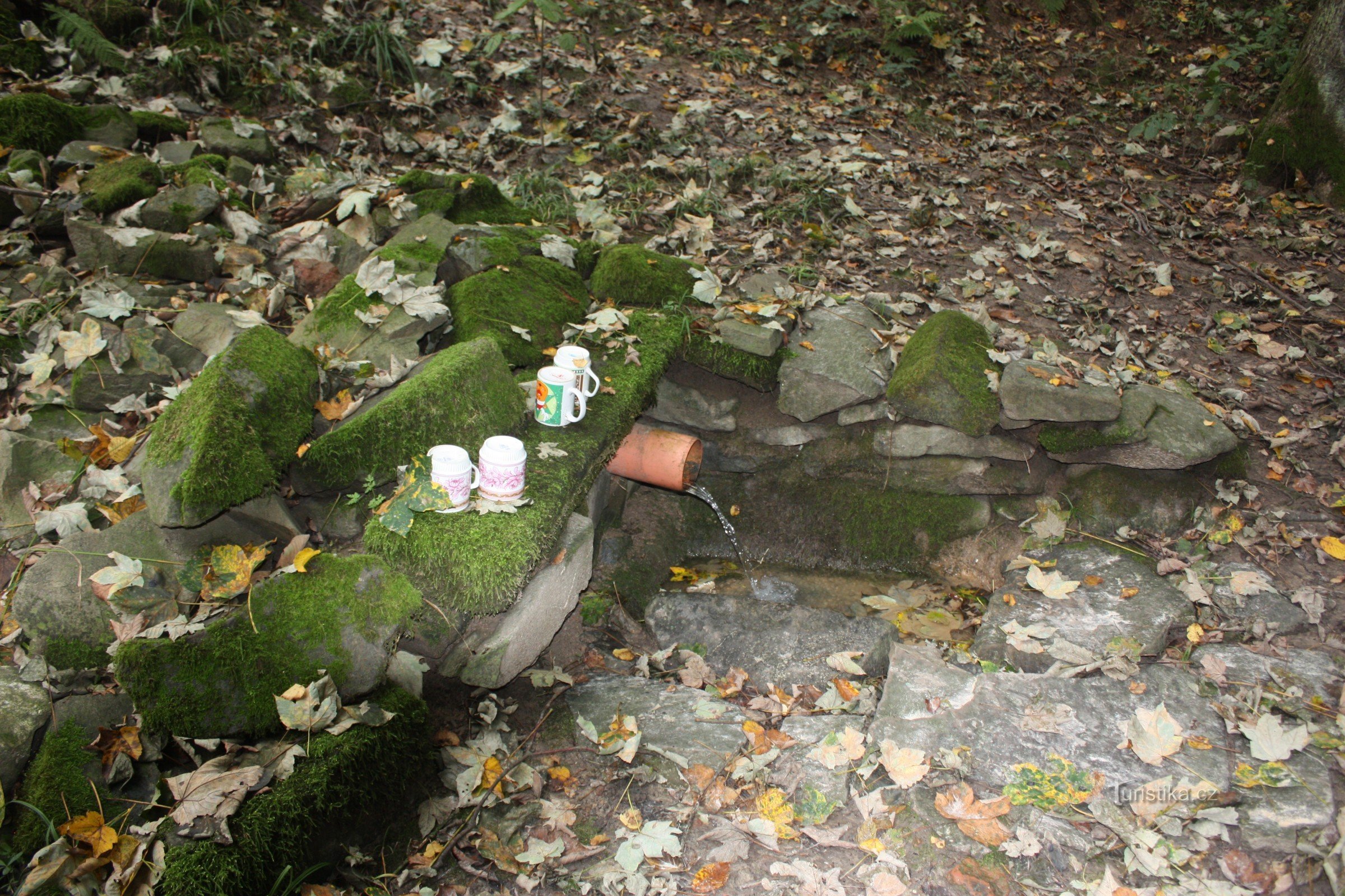 Gut im Naturschutzgebiet Blátka