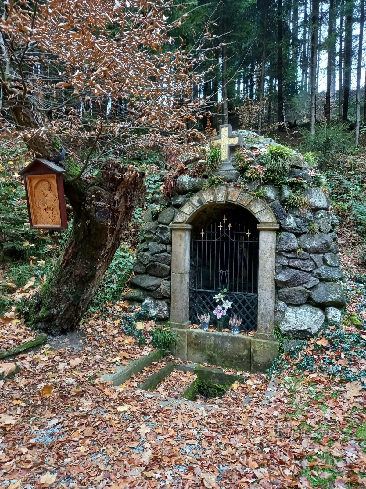 Studánka v údolí Dřízna