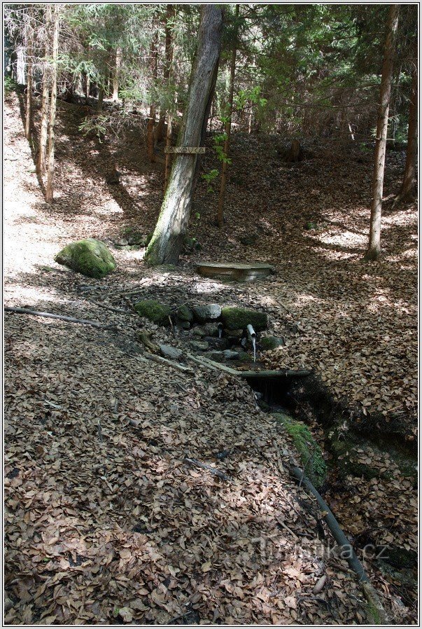 Studánka Vaňkovka