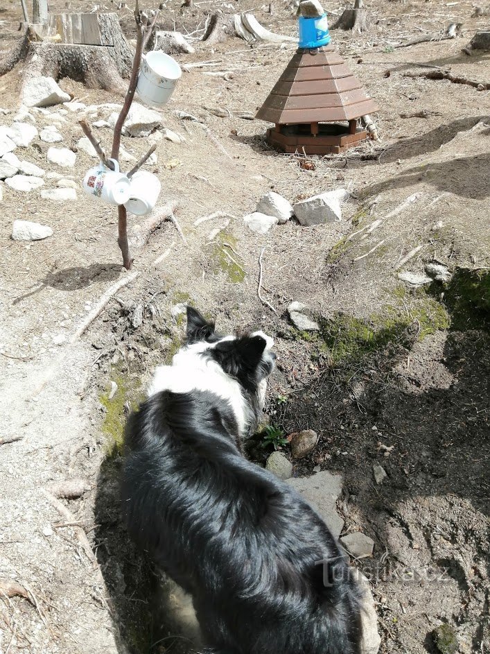 Studánkové putování okolo přírodní památky Vysoký kámen