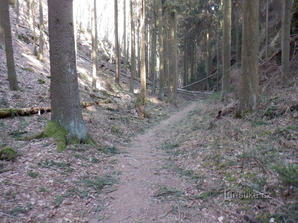 Kalte Schlucht zur Hölle