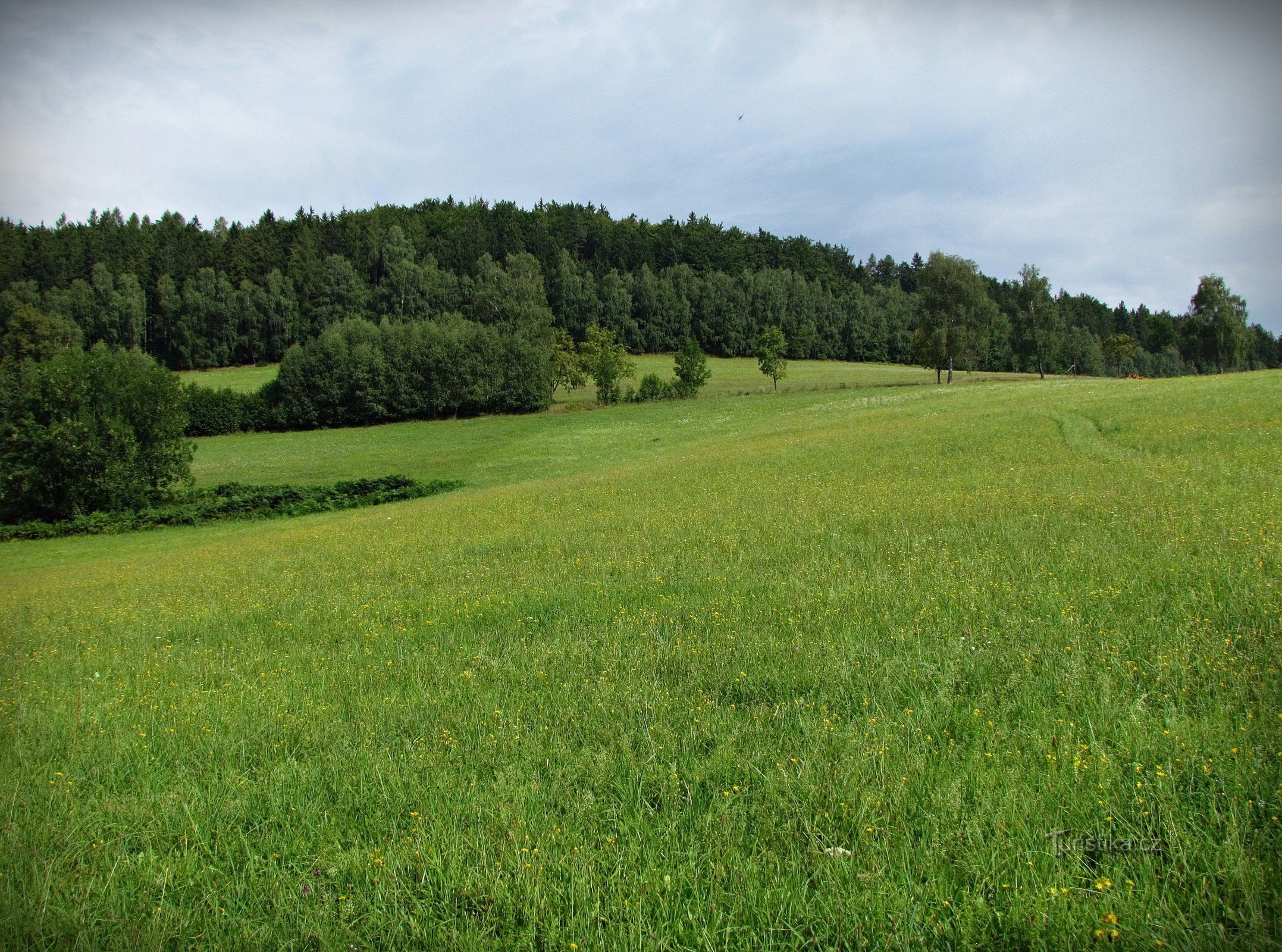 Kälte aus Těchonín