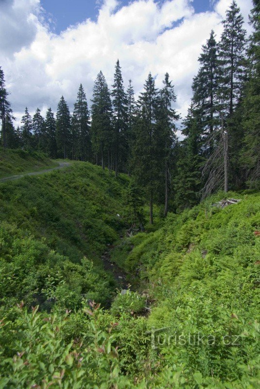 Un ruscello freddo sotto la strada da Videlské sedlo