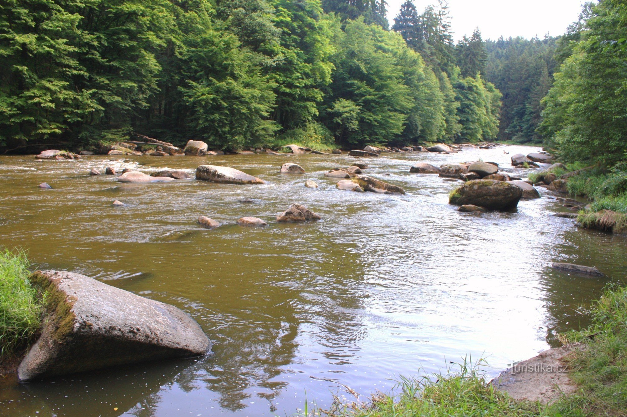 Stworzenia na Sázava