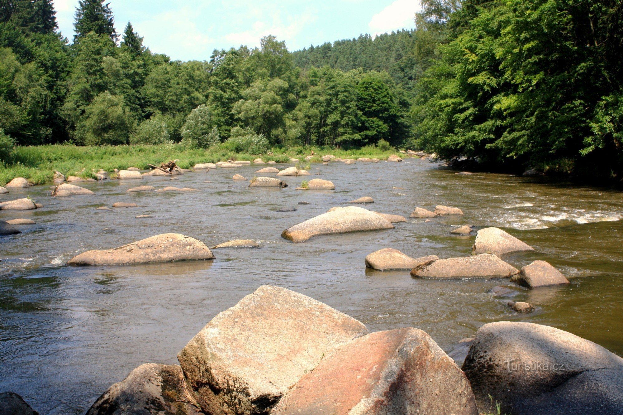 Stworzenia na Sázava