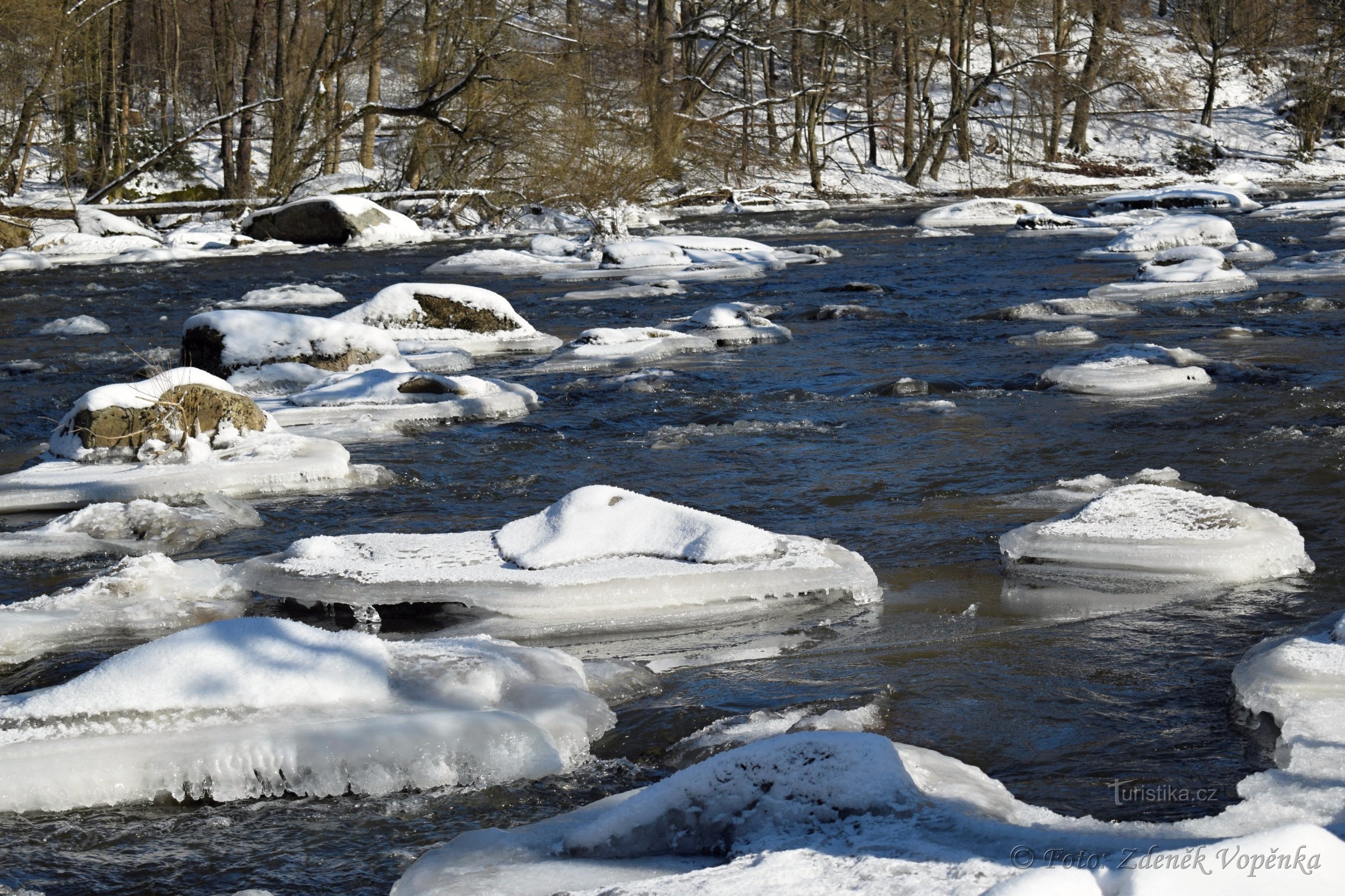 Wezens op Sázava in de winter.