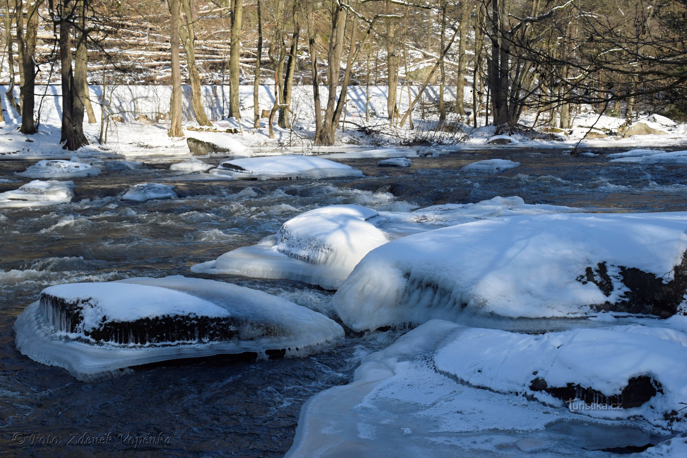 Creatures on Sázava in winter.