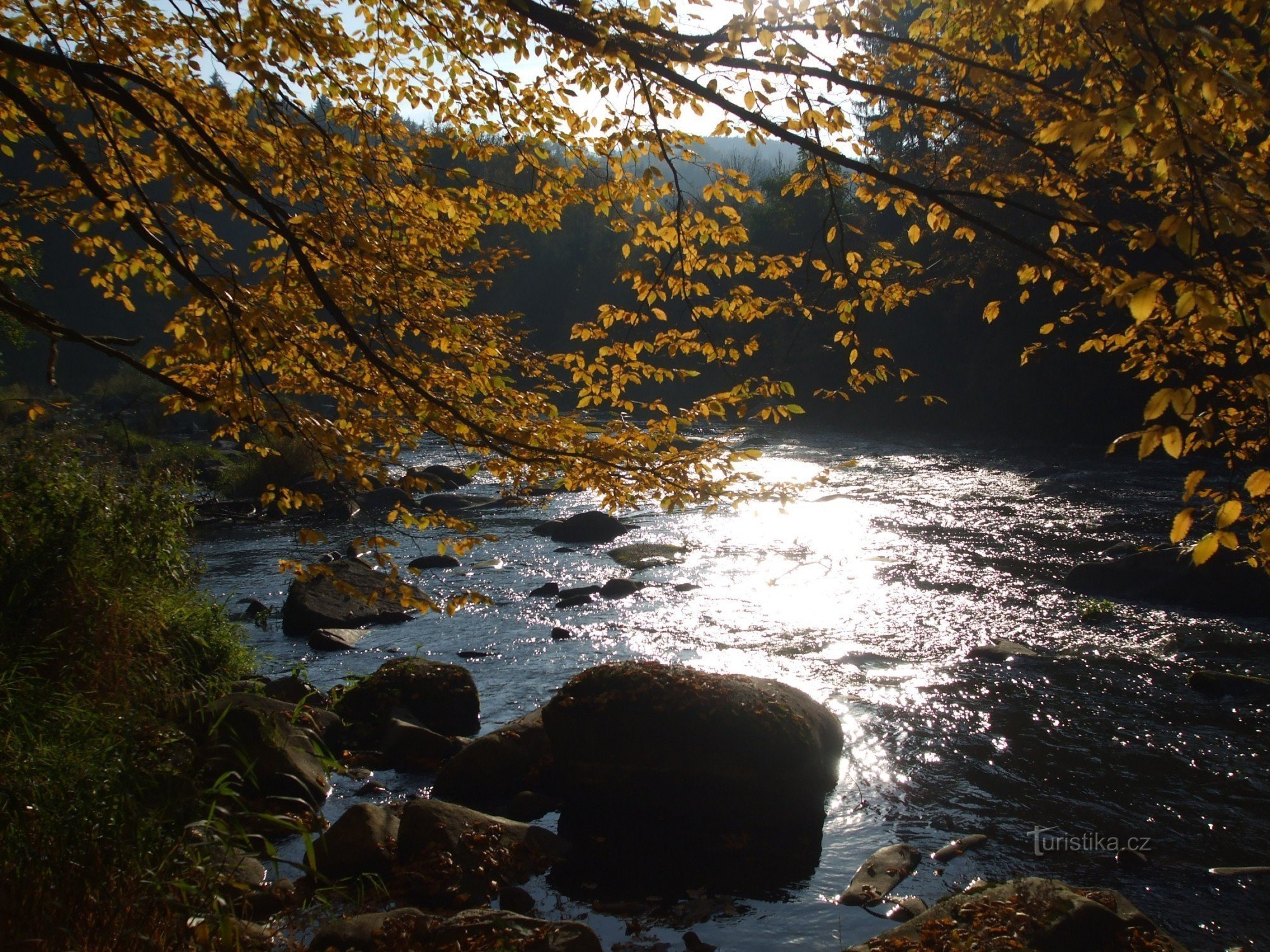 Criaturas - reserva natural en Sázava.