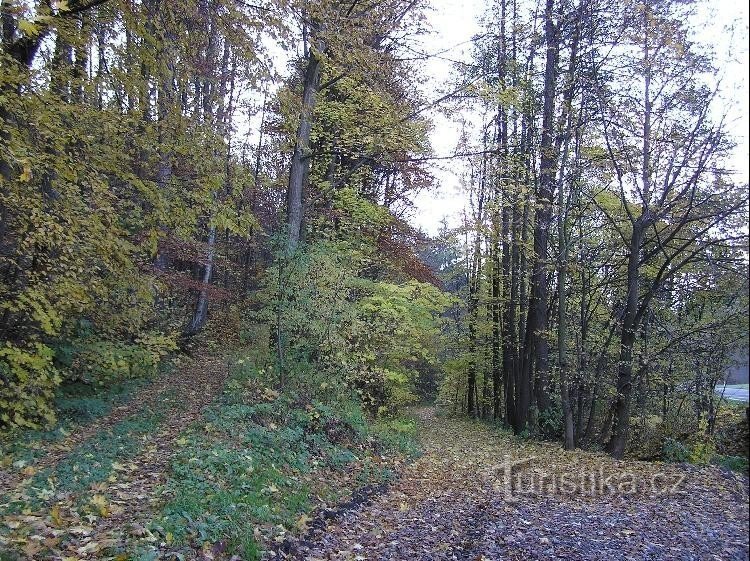 Dry Dora: Eine Abzweigung von der Hauptstraße