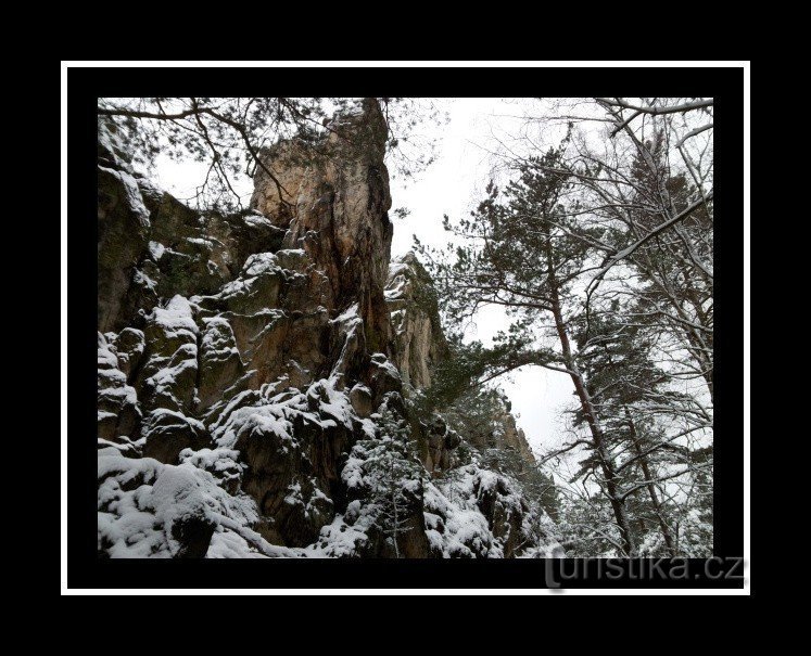 Rocas secas