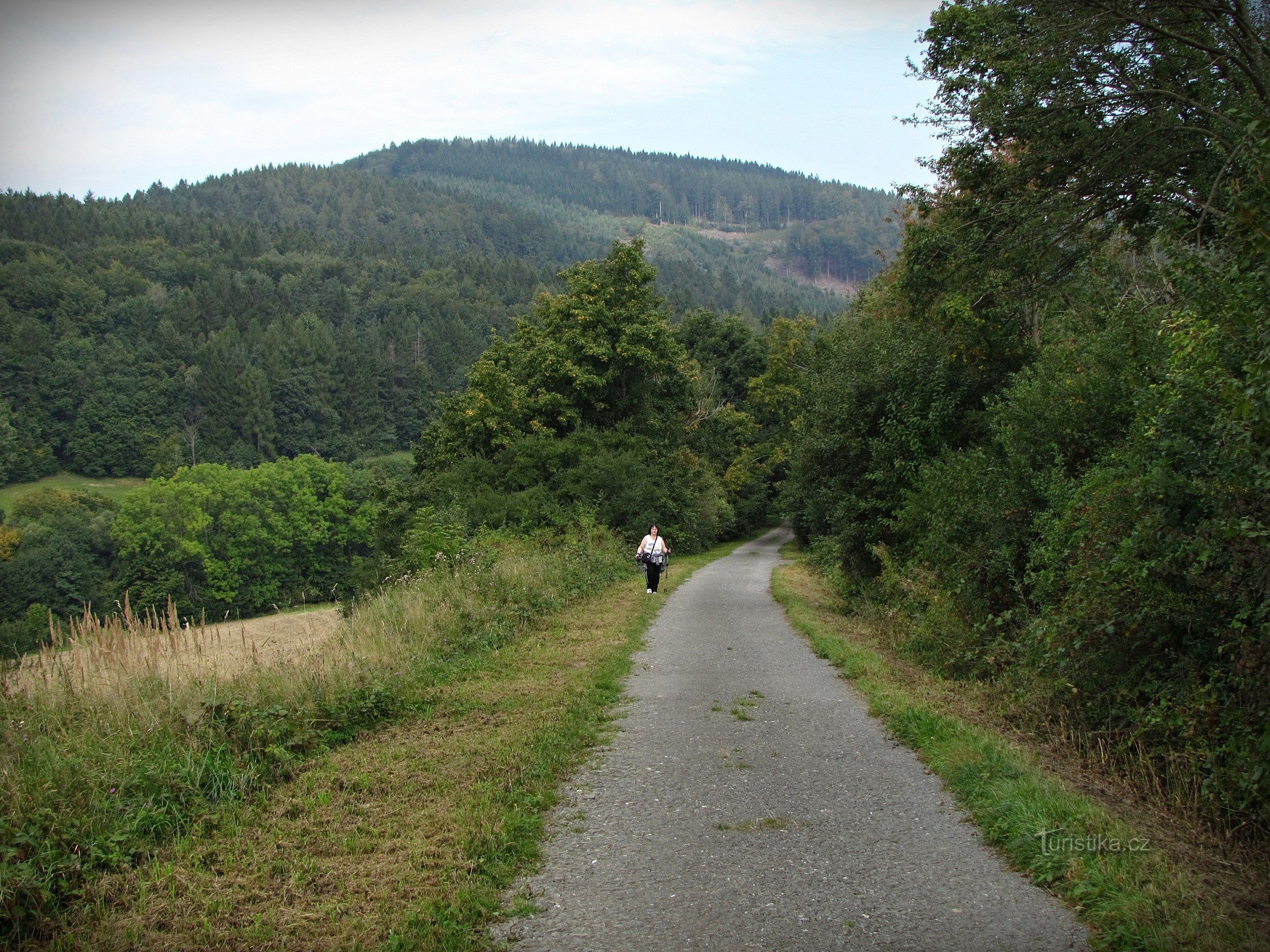 Suchý vrch in Vizowické vrchy