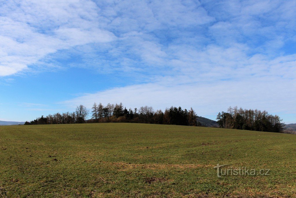 Suchý vrch, vrchol