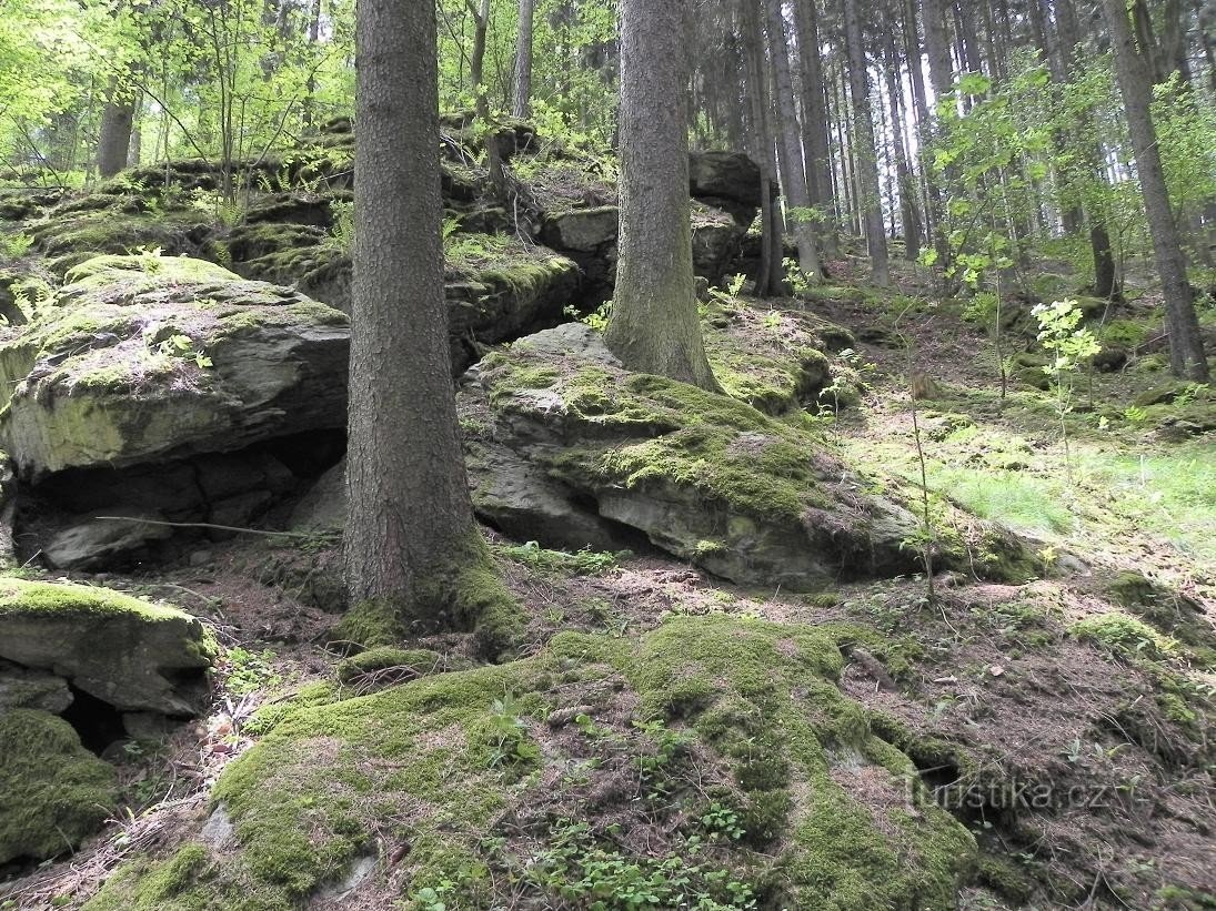 Grotte de Sudslavická et tilleul de Sudslavická.