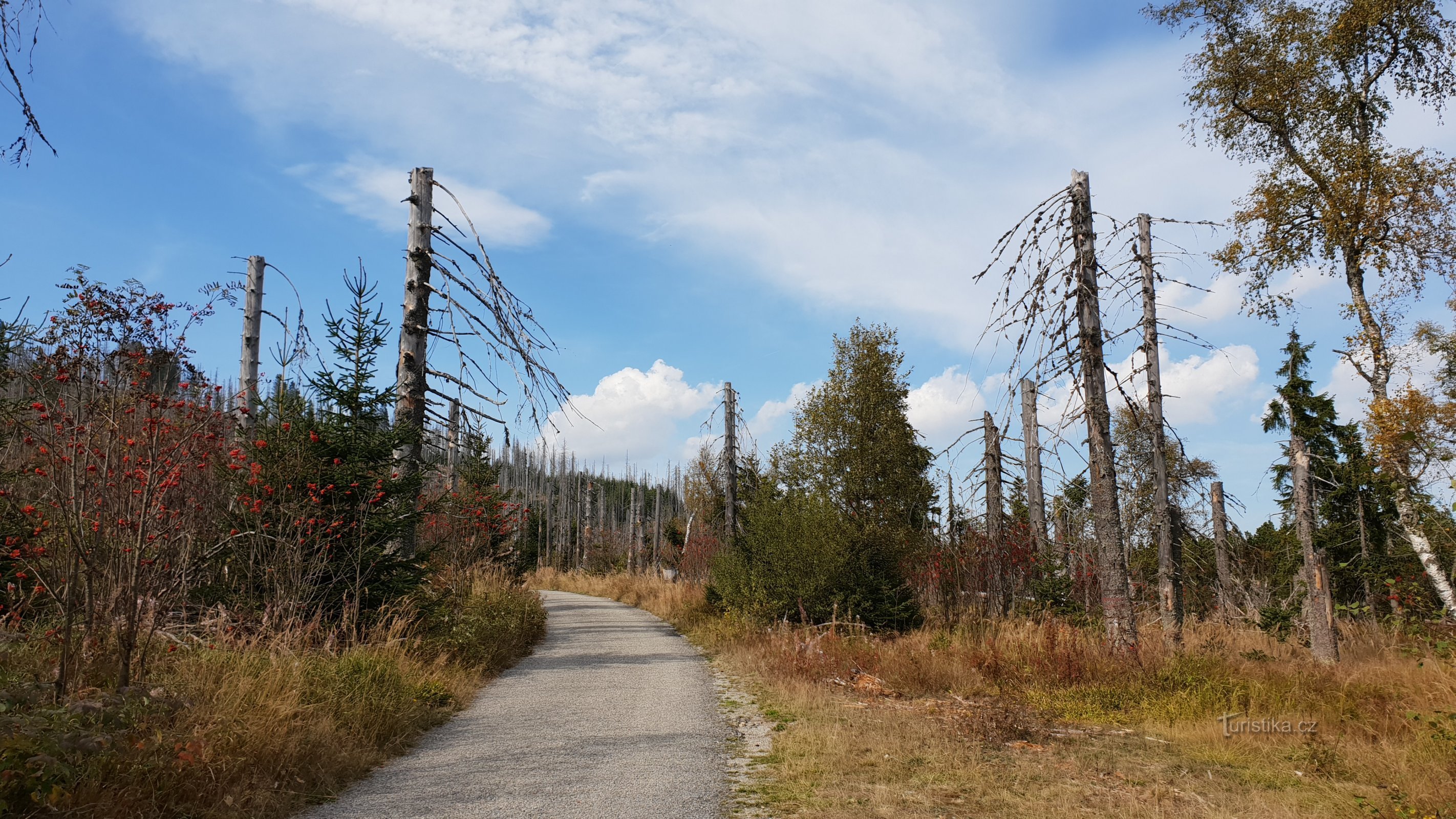 Šumava (ei vain) lintuperspektiivistä