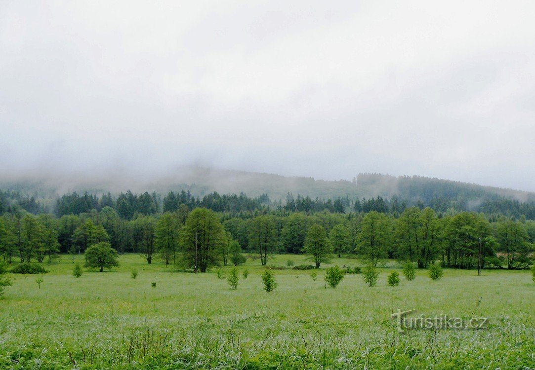 Šumava Nikogaršnja zemlja