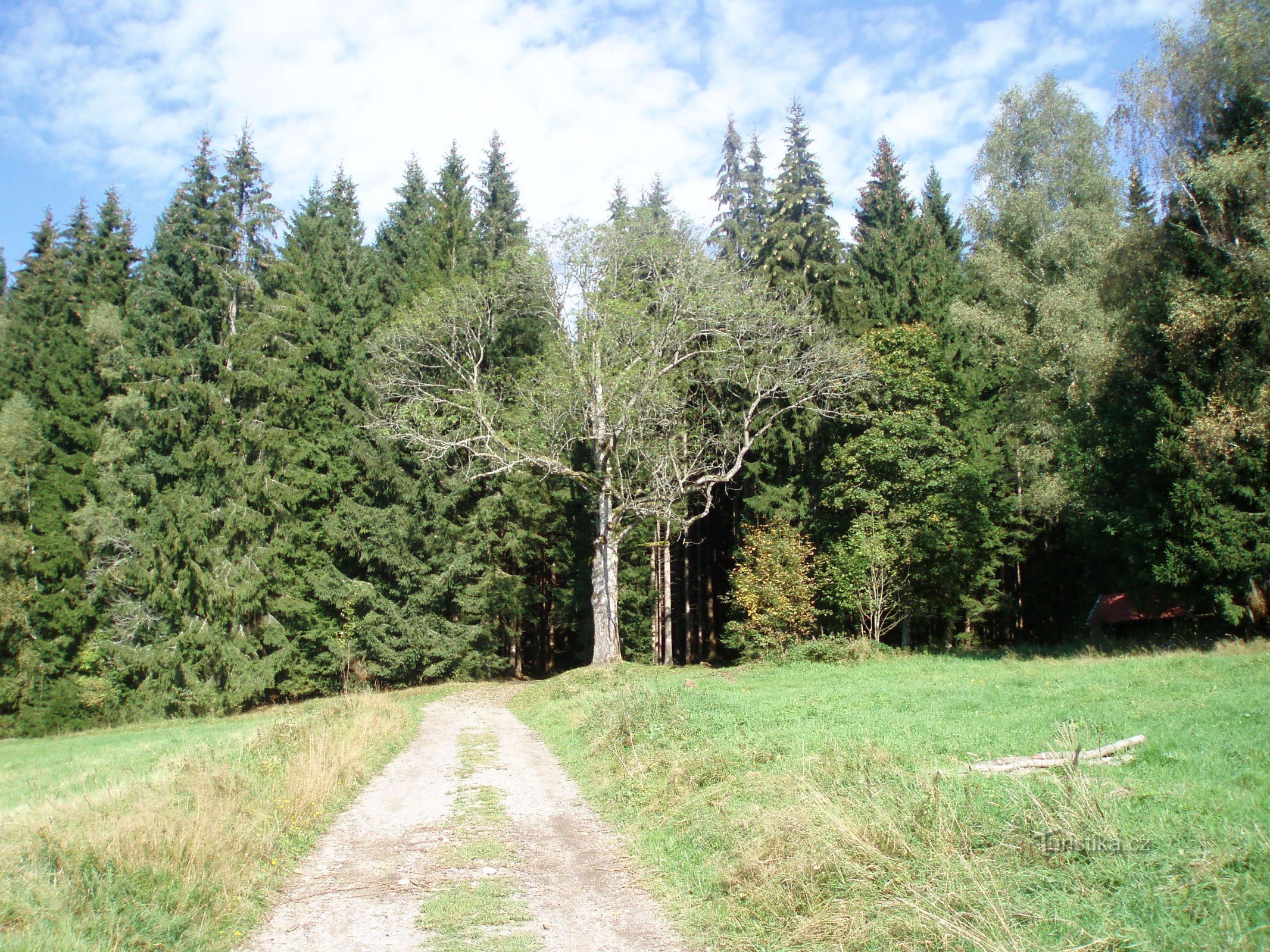 Böhmerwaldseen und Špičák