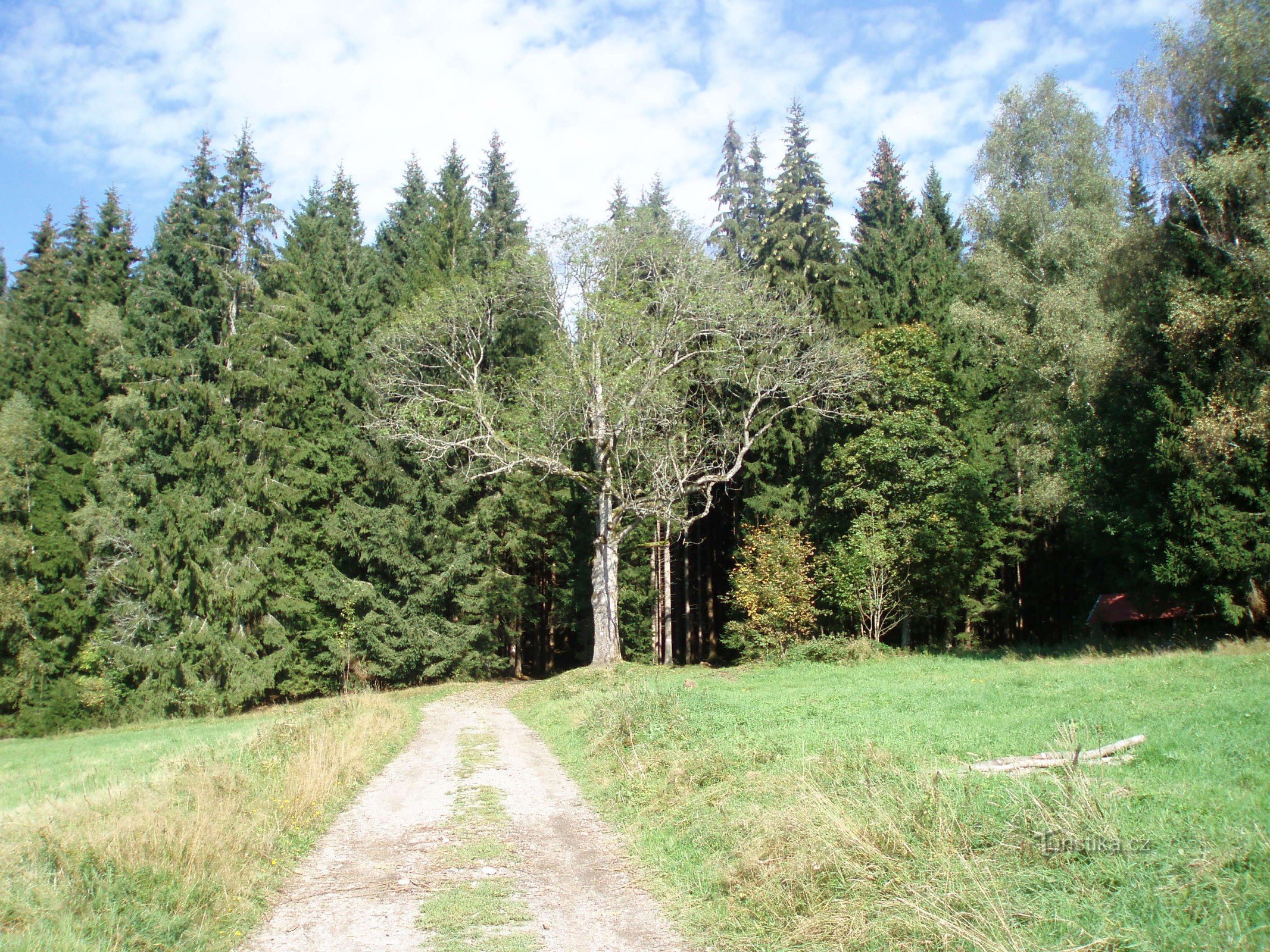 Šumava-tavak és Špičák