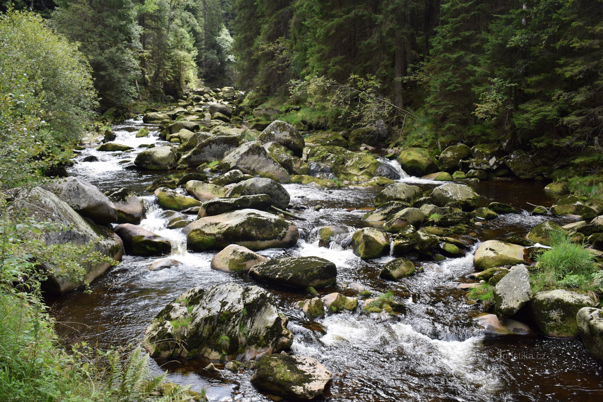 Šumava river Vydra.