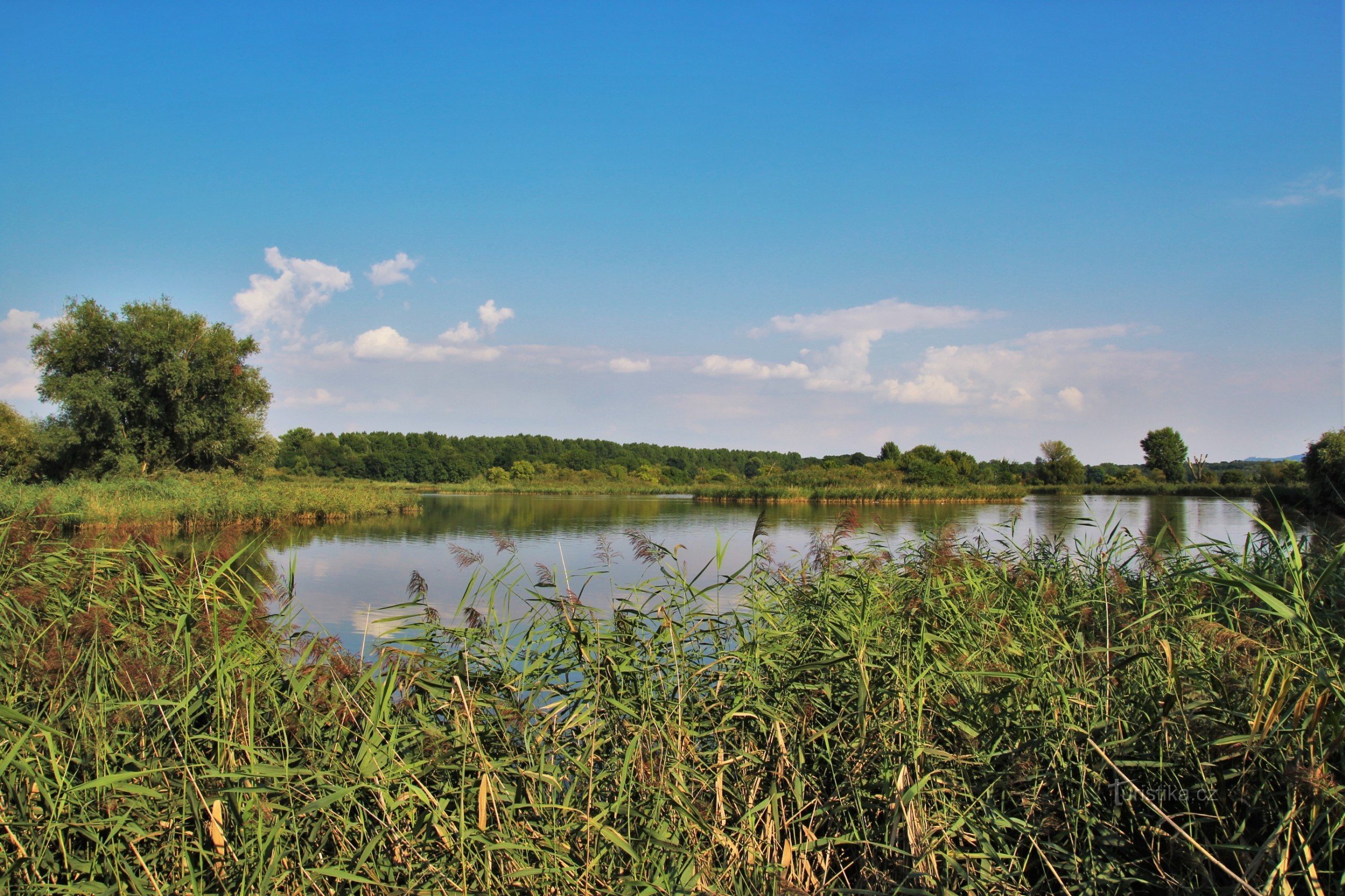 Šumický pond - nature reserve