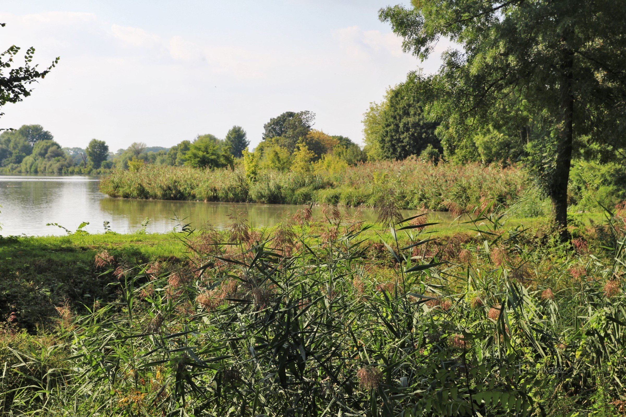 Šumický dam - naturreservat