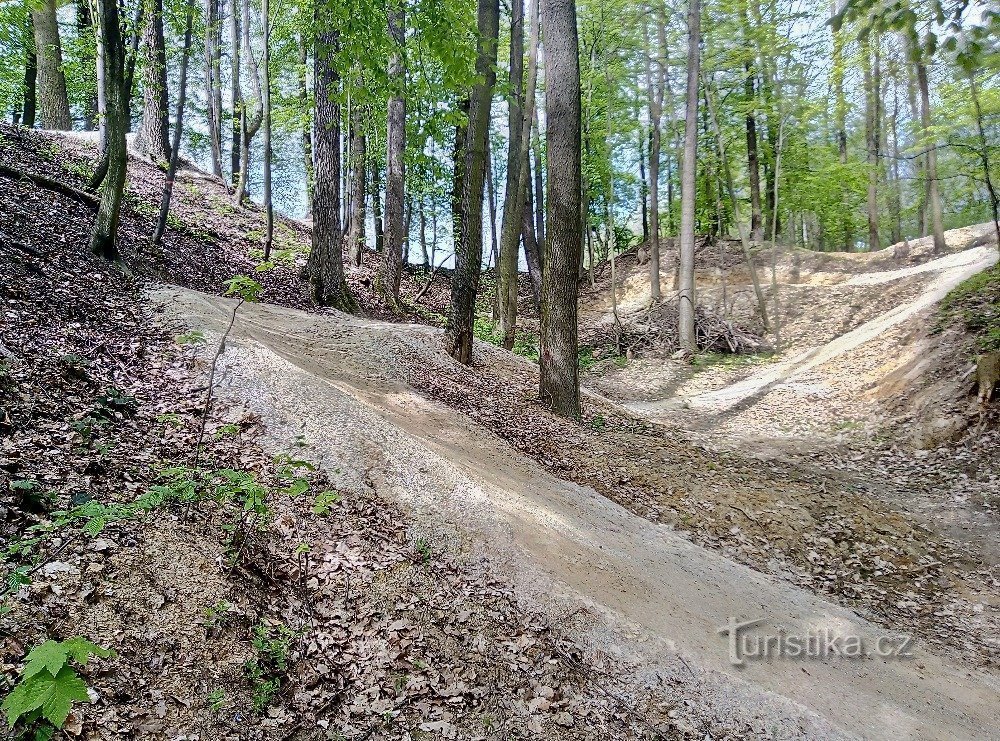 Šumperk – singletrails in het bos in de buitenwijken, een nieuw paradijs voor fietsers