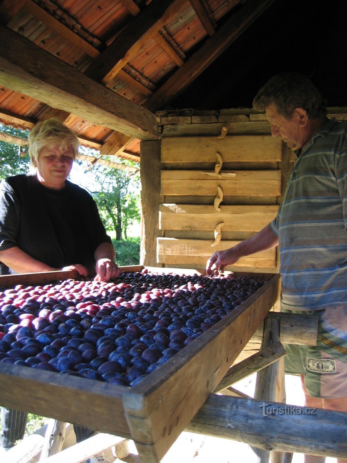 séchage des fruits