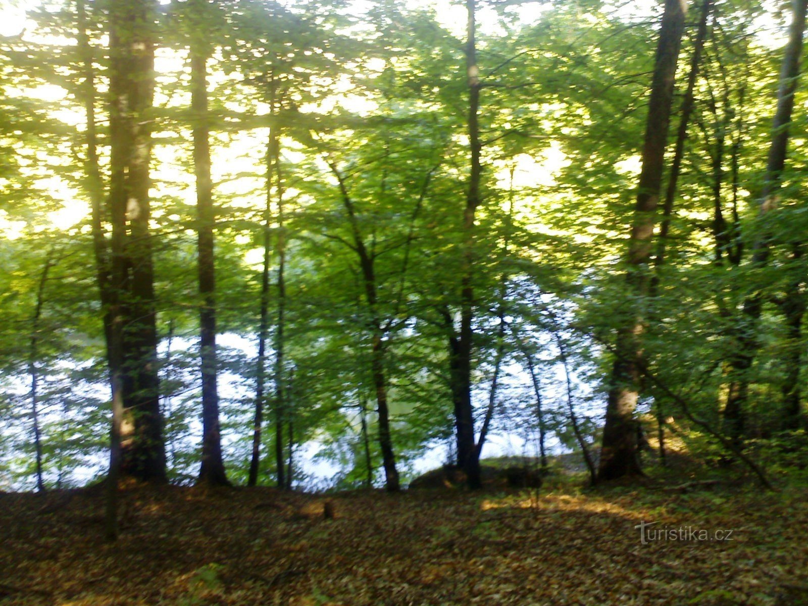 Côtes rocheuses