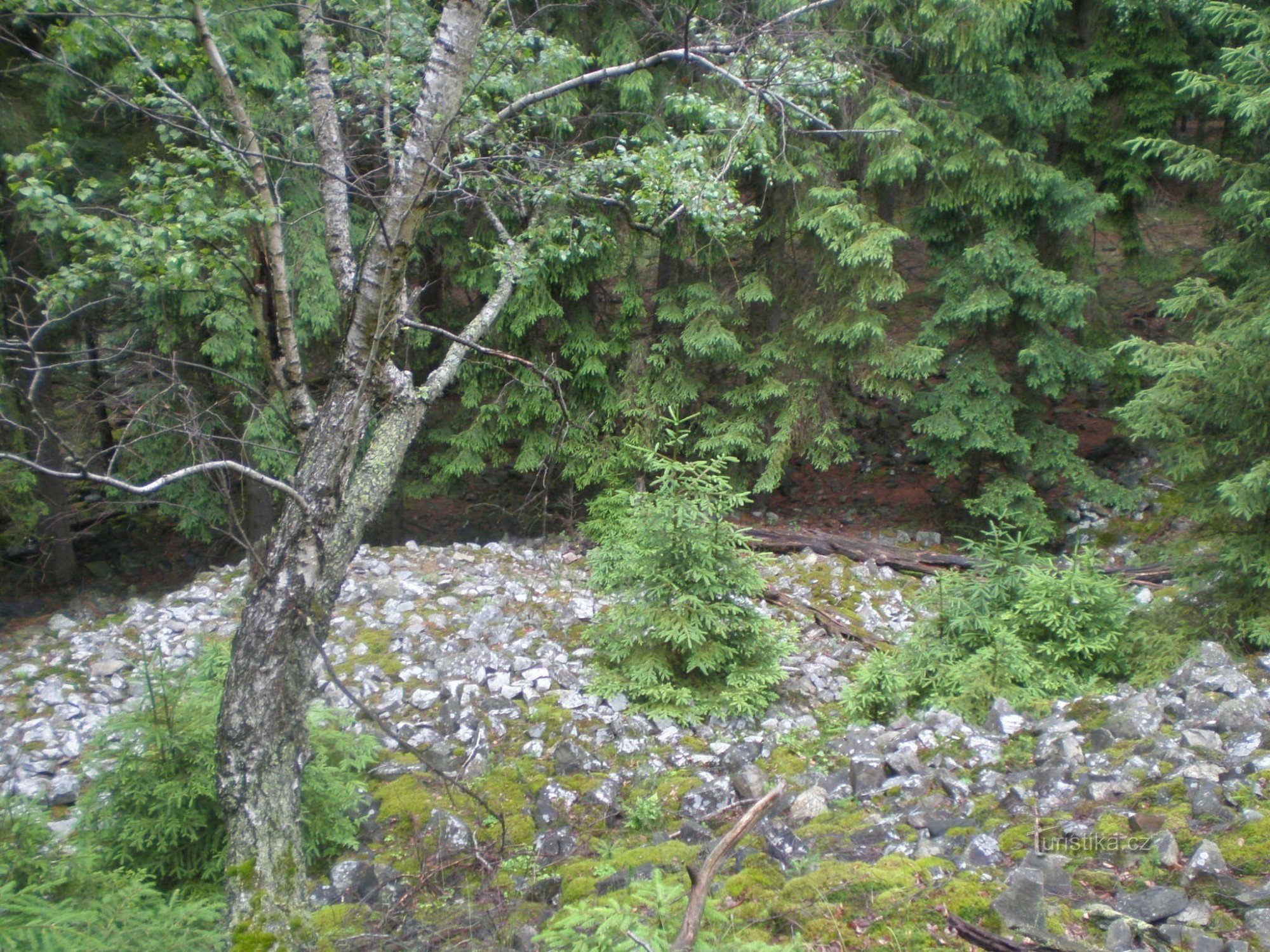 scree under Studený vrch