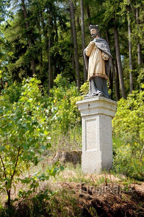 вул. Яна Непомуцького