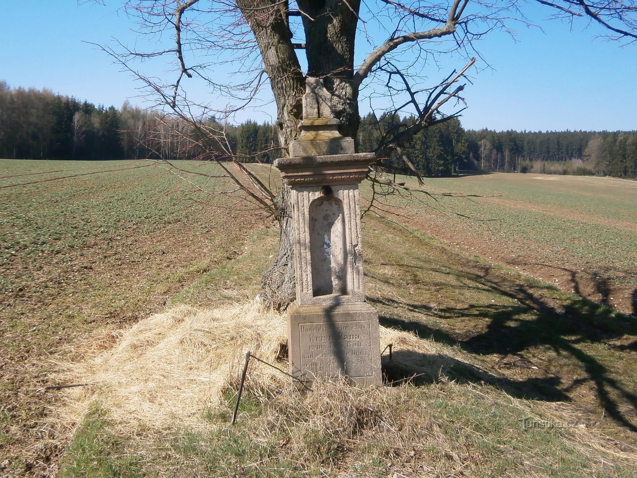 Cruz de Cucarachas (Intermedio)