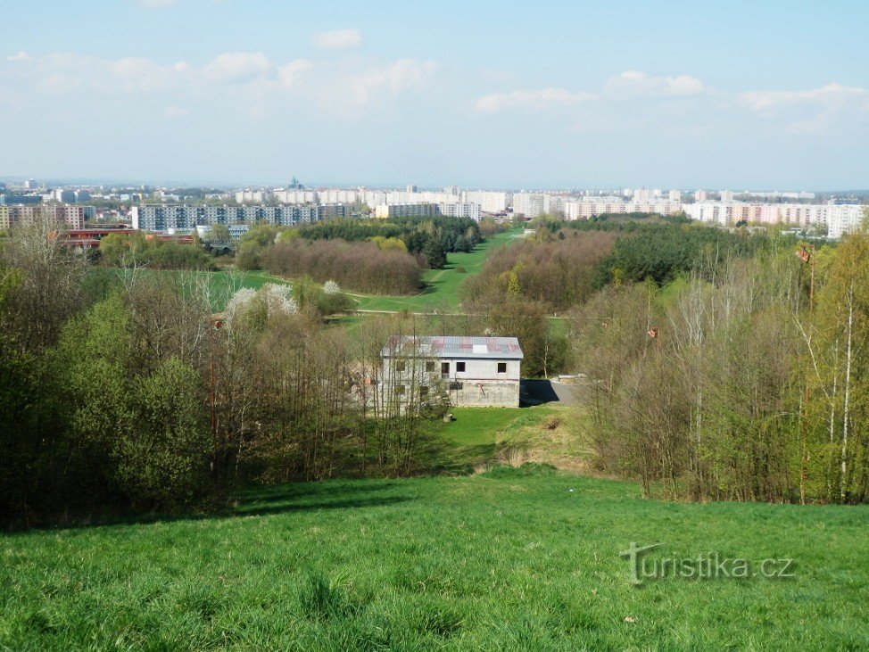 The slope of Rozárka, below it the forest park and Moravské Předměstí